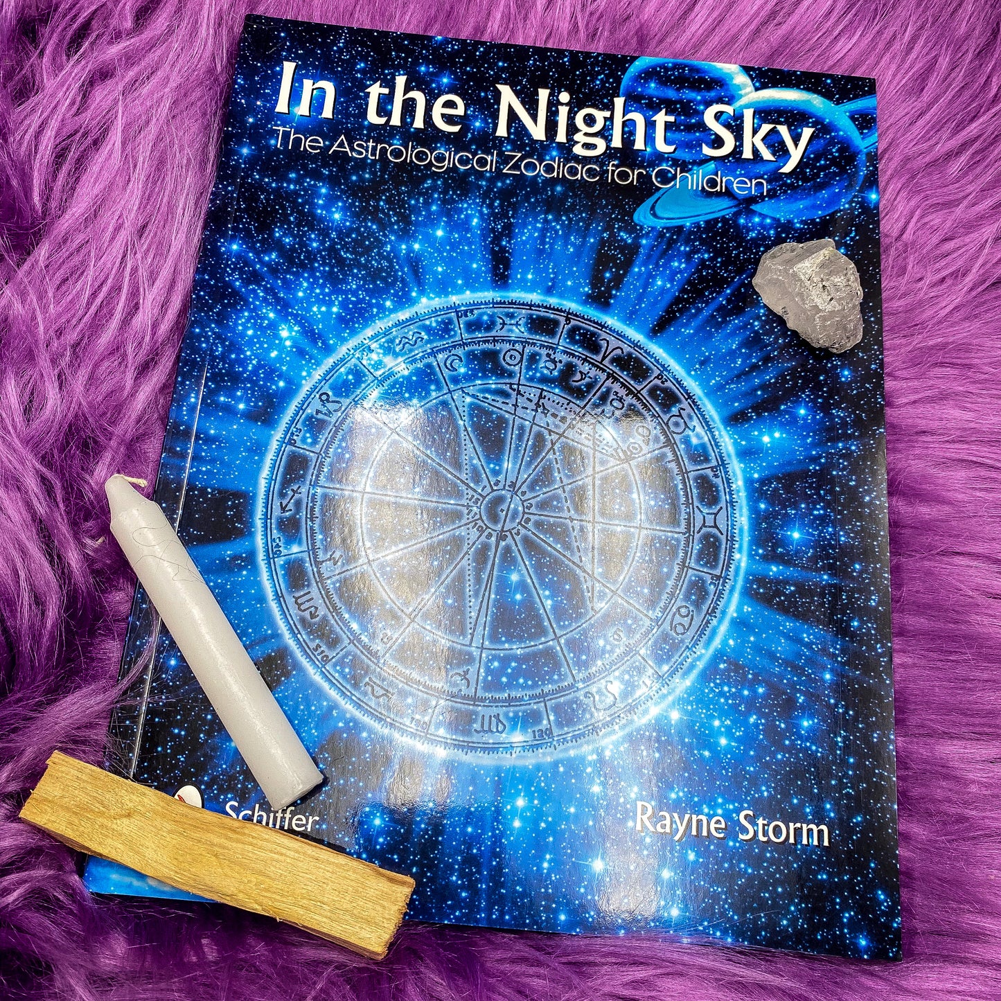 In the Night Sky: The Astrological Zodiac for Children by Rayne Storm