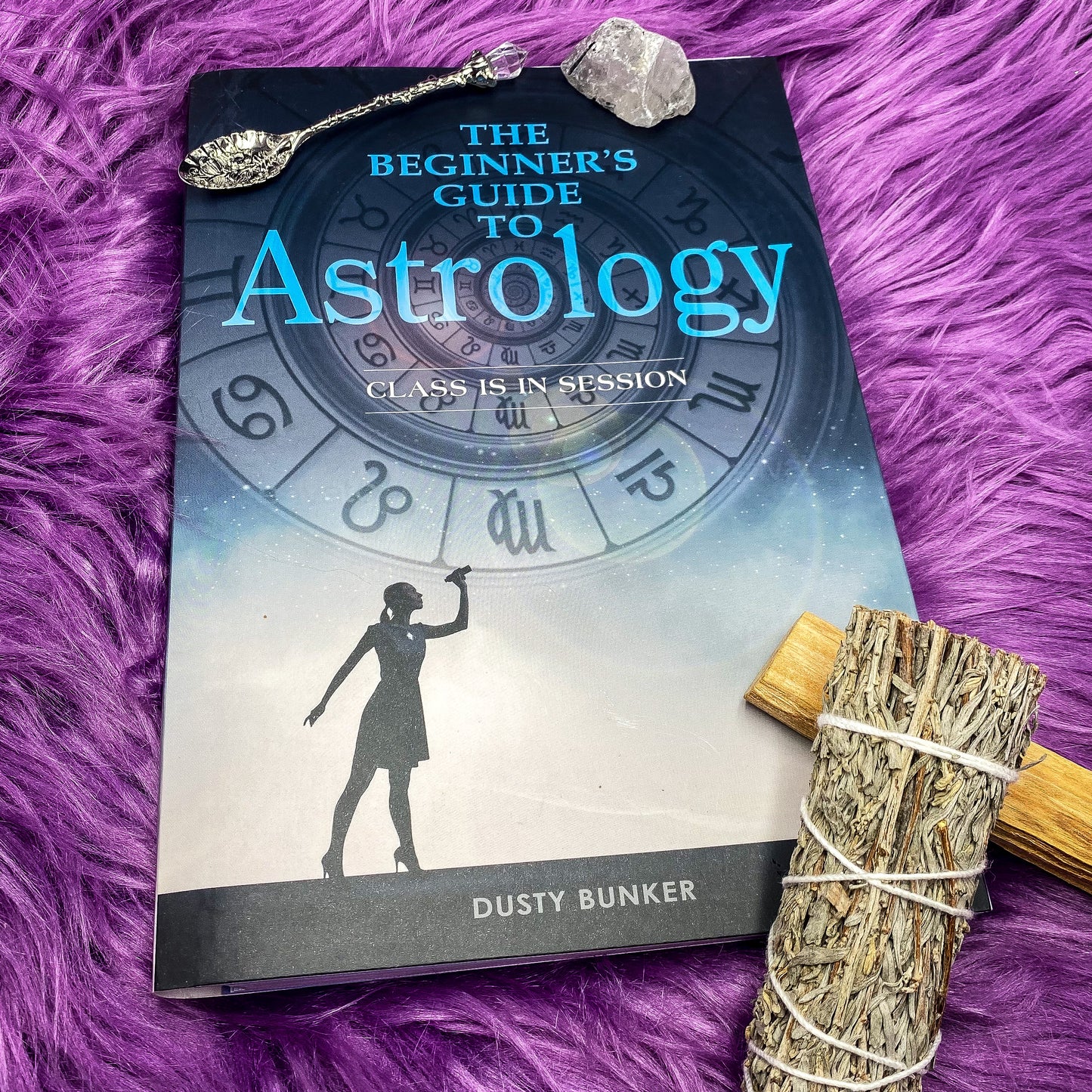The Beginner's Guide to Astrology: Class Is in Session by Dusty Bunker